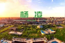 杨凌为什么没有发展起来？图片