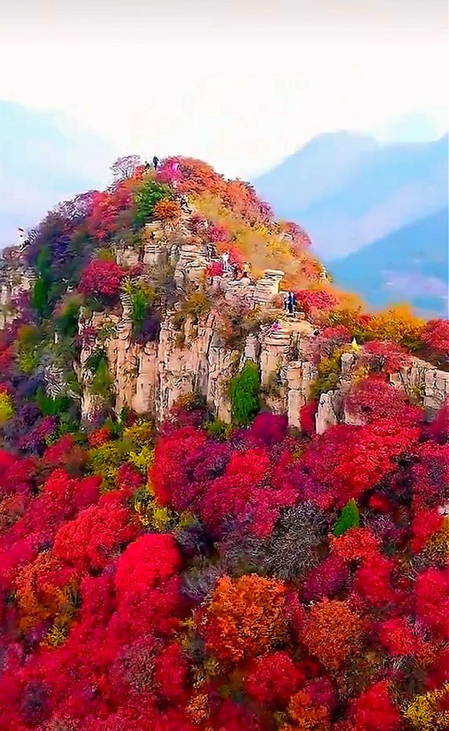 不藏了，济南5个红叶仙 境，最后一个美到词穷！