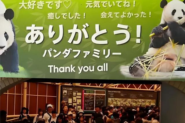没有回旋余地，中国下令直接收回，17万日本人泪奔，高市闯祸了！
