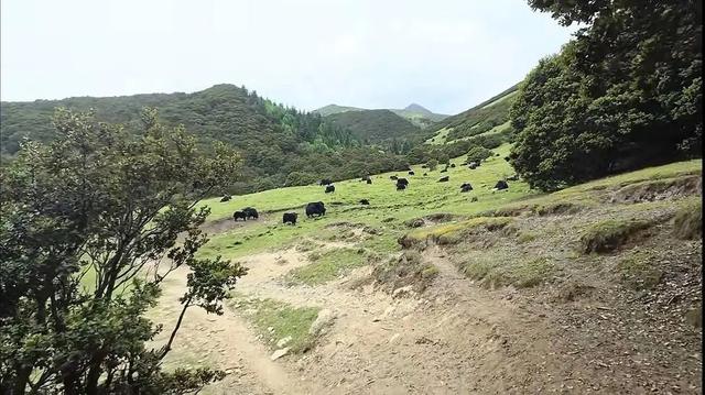 遭遇严重高反！血氧一度降至35！小伙徒步川西网红景点险送命