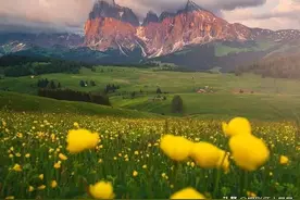 手机怎么广角拍摄？掌握这5个技巧，轻松拍大片！图片