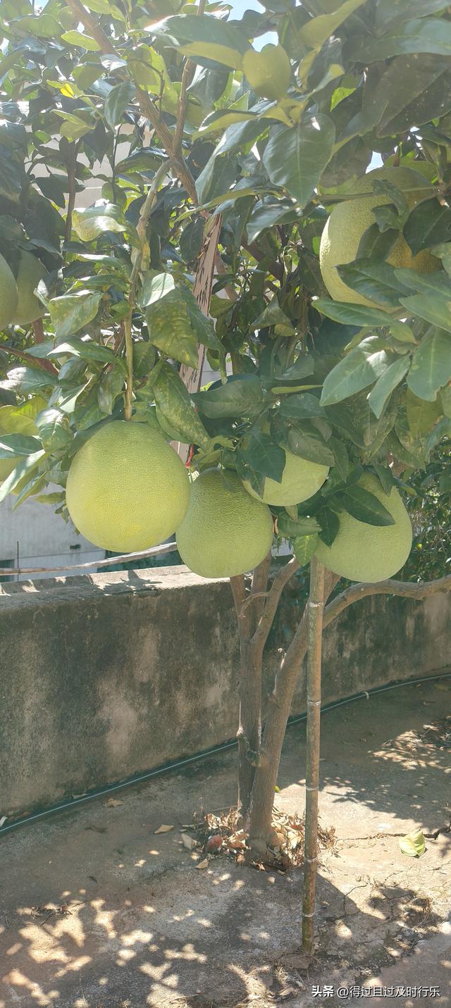 品味鄱阳湖大闸蟹，感受秋天的鲜美