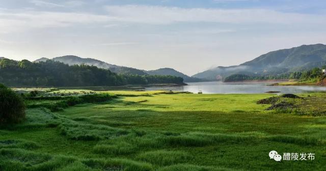 关于沩山，我想告诉你……