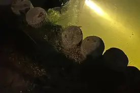 男子手机落水花500元请打捞队搜寻未果，隔天定位出现在卖场，律师：难以认定有犯罪事实！图片