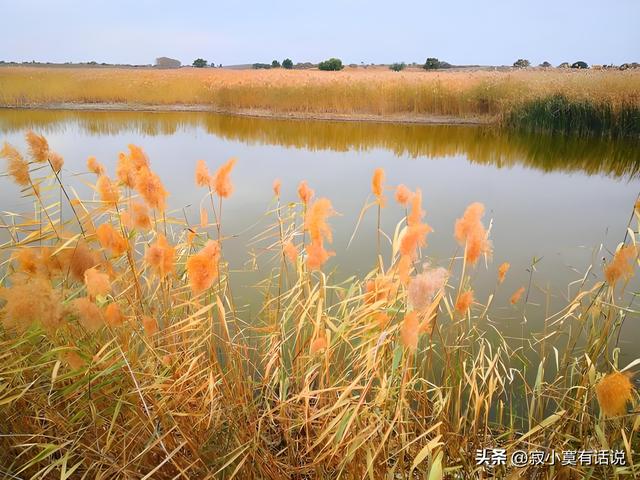 才觉深秋至，忽而已是冬