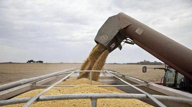 阿根廷大豆关税一夜归零！10艘中国货船掉头抢粮，全用人民币结算