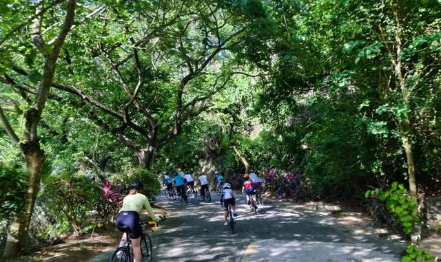 春假+清明!万宁推出五天四晚“浪”漫线路→