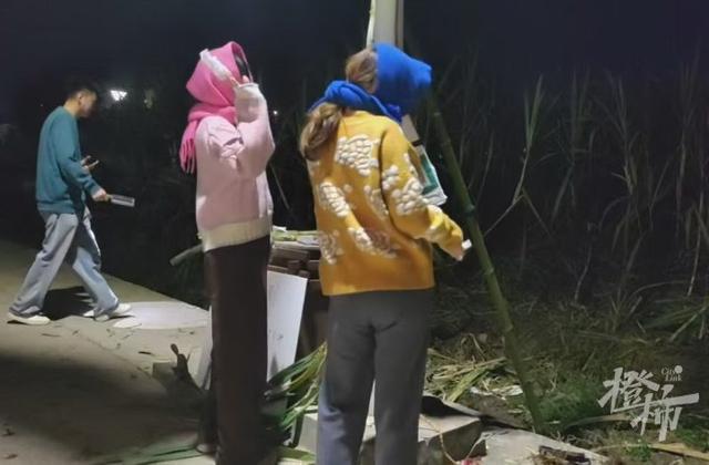 爆火全国的“偷甘蔗”，又是浙江人想出来的！橙柿专访“第一发明人”