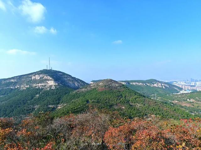 黄栌、五叶枫......济南这里将迎来赏叶黄金期