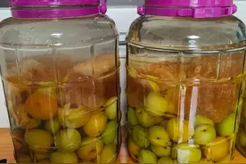 颠覆！没想到这些植物还能泡酒？5个省太有想象力，你绝没喝过图片