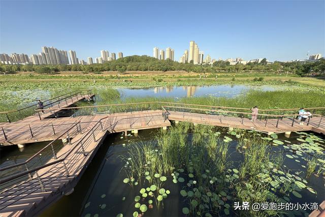 西安“最诗意”的公园藏不住了！