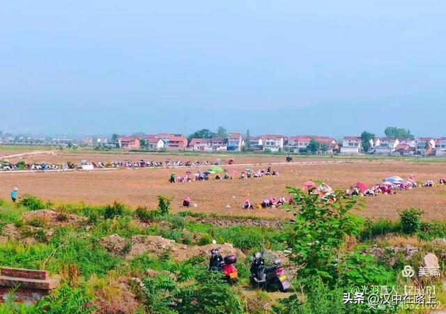 汉中灌子山行记：寻觅张鲁女墓！