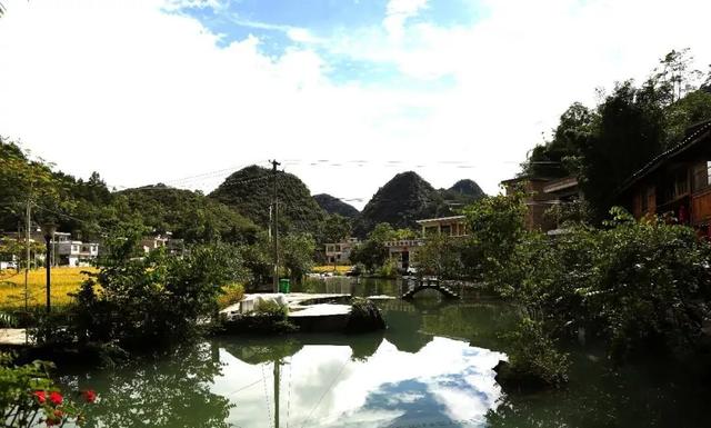 乡游黔中 · 长顺县 付家院村丨金菊翻浪映秋色,品味沉淀的时光