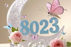 后来才发现，世界上最珍贵的数字不是520 也不是1314 而是8023图片