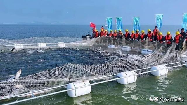 收藏贴！带您玩转潍坊的湖光水色