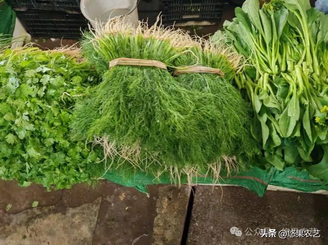 云南行记：楚雄两日