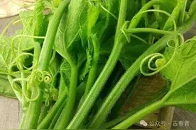 抑郁症，疏肝健脾是关键，入秋可以多吃南瓜藤图片