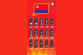 一图了解人民警察警衔肩章标志图片