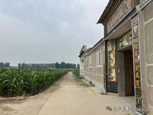 冠县乡韵·甘官屯镇太平庄