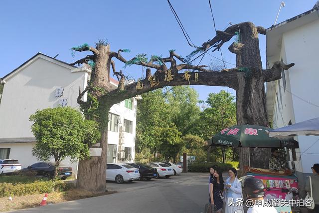 西安市鄠邑区：游览高冠瀑布景区