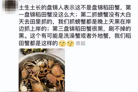 当网红“塌房”成为日常，我们还能看什么？图片
