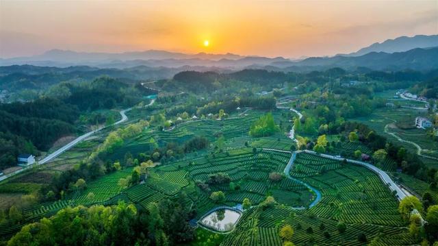饮水思源，赏秋护水：一场汉江源头的感恩与守护之旅