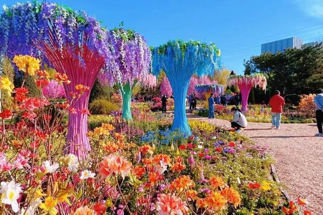 半日休闲游玩 | 牡丹+流苏+多巴胺花海，好拍到停不下来