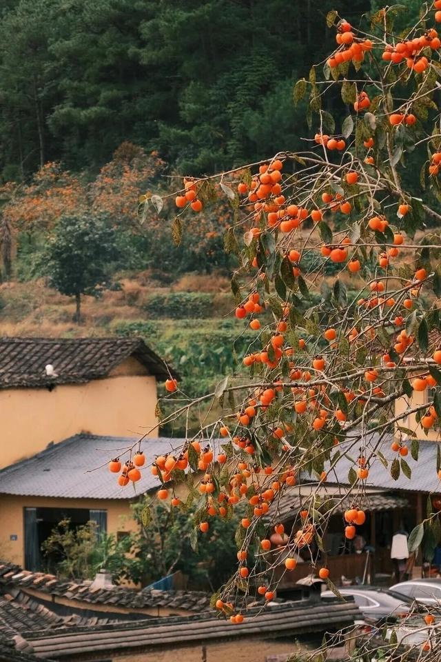 高铁直达，中国最安逸的6座城市，心累了，就去小住三五天！