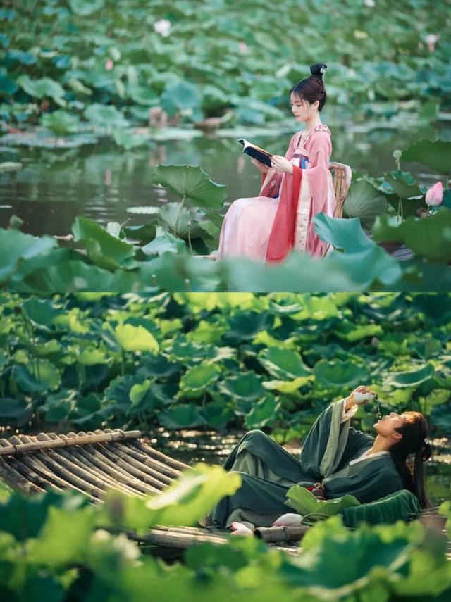 这个8月，拖猫带狗闯江南竹海~