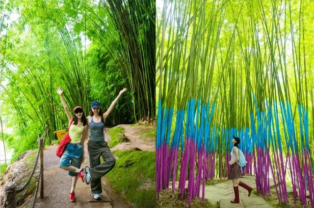 在竹尖上飞行！全网最全尖叫玩法攻略！