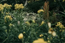 生日尾数是几的人，天生上等命，从出生富到老！图片