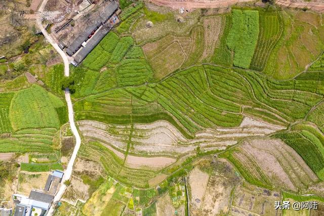 俯瞰大理郊外的乡村田园,胜似江南还多几分野性,美得让人心醉