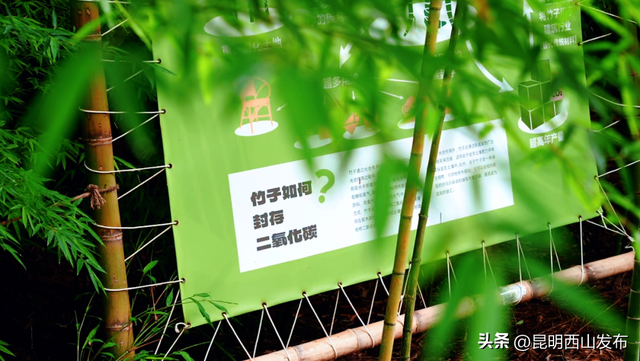 白鱼村，西山区绝佳的隐身栖居之所