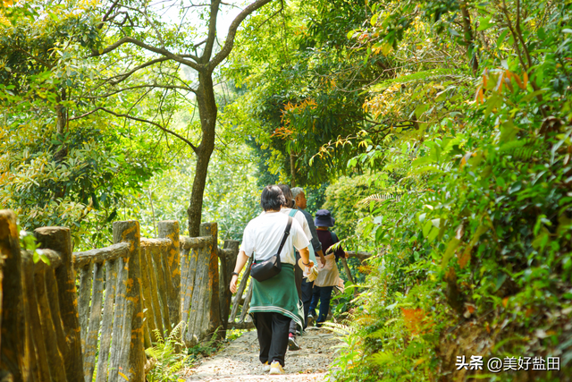 深圳新手必刷！5公里山海徒步，地铁直达→