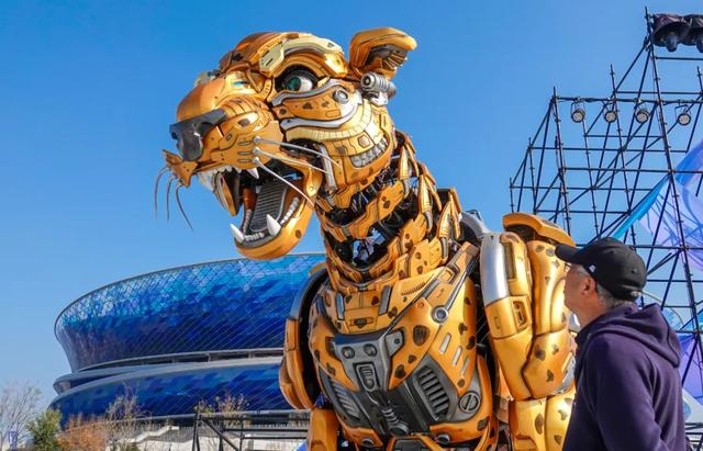 到梭鱼湾看辽超？你想得太简单了！建议现在就出门