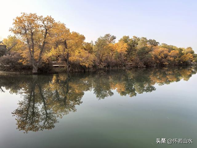 2025环南疆沙漠铁路背包自由行日记(6)---游览巴楚红海胡杨林景区