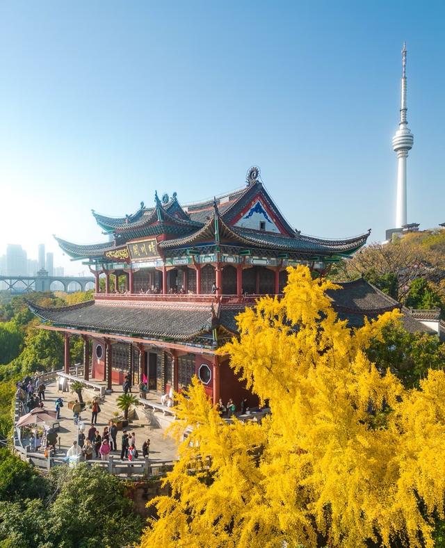 国庆中秋在武汉，遇见生态与科技的交融