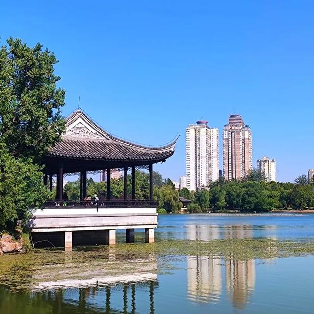 云龙公园春色好，绿肺含韵润彭城