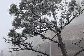 福建下雪了！厦门接下来……图片