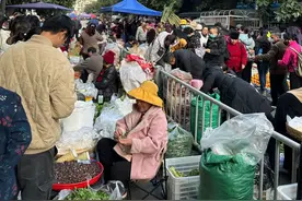 攀枝花赶场，真的太好玩了！瓜果蔬菜，琳琅满目，充满人间烟火气图片