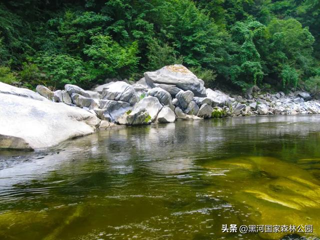 别卷了！躲进黑河的“绿野仙踪”，把秋天装进后备箱！