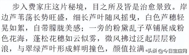 宝应运河边又一打卡地：霞落蒹葭处，粉黛醉斜阳