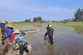 【最美防汛人】熊自亮：三十余年如一日 嘉鱼县簰洲湾堤上的前置“防汛专家”图片