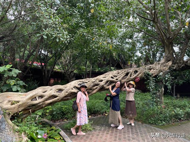 云南弥勒避暑旅游生活记录（三）瑞丽
