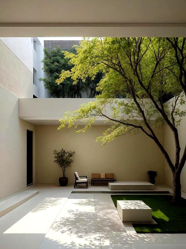 解决小院的6大烦恼，带你一分钟了解