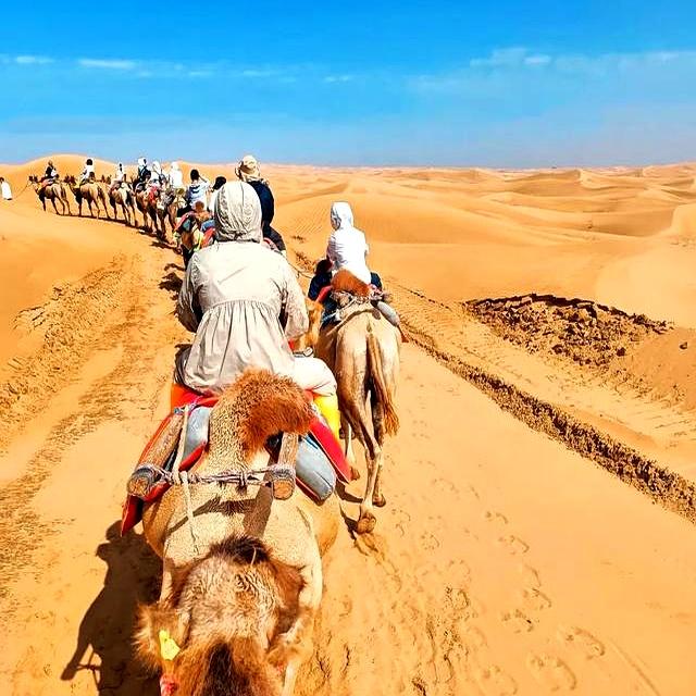 和老伴去宁夏中卫住了一个月，我实话实说：跟想象中完全不一样～