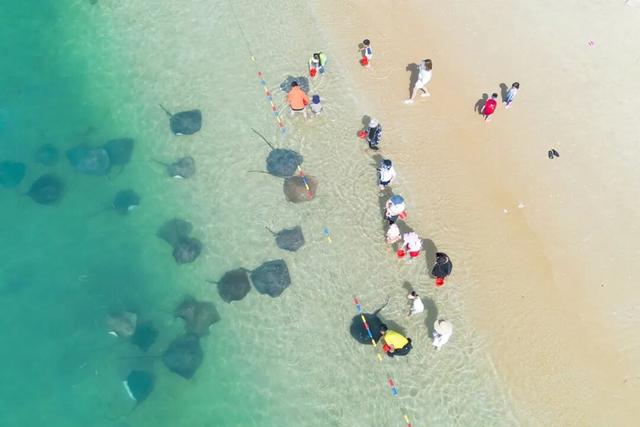 分界洲岛错峰游 | 摸鱼、玩海玩到飞起～