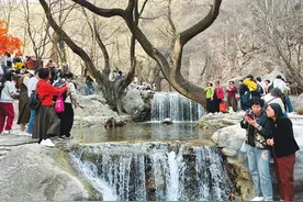 游绵山，忆先贤，美丽又美好的春游体验！图片
