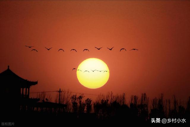 不是迷信！今日处暑，记得：1要吃、2不睡、3不去、4不归，早了解