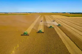 不是中国企业不想买，美国大豆“产能过剩”，请多找找自己的问题图片